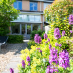 Distelvlinderberm 98 – Foto 35