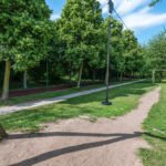 Distelvlinderberm 98 – Foto 48