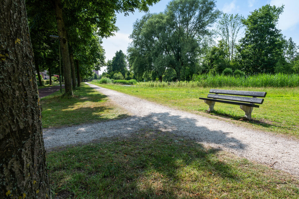 Distelvlinderberm 98 – Foto 47