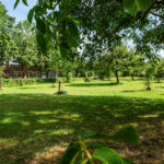 Distelvlinderberm 98 – Foto 49