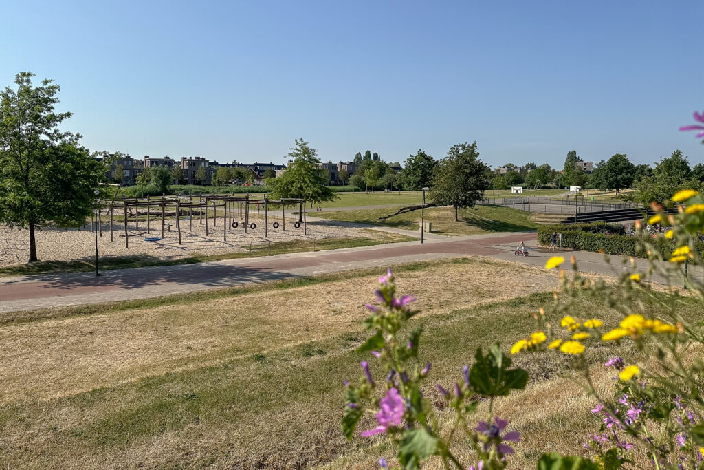 Plantagepolder 43 – Foto 11