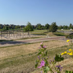 Plantagepolder 43 – Foto 11
