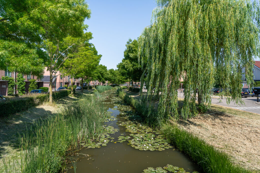 Plantagepolder 43 – Foto 9