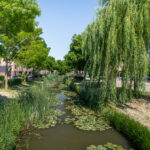 Plantagepolder 43 – Foto 9
