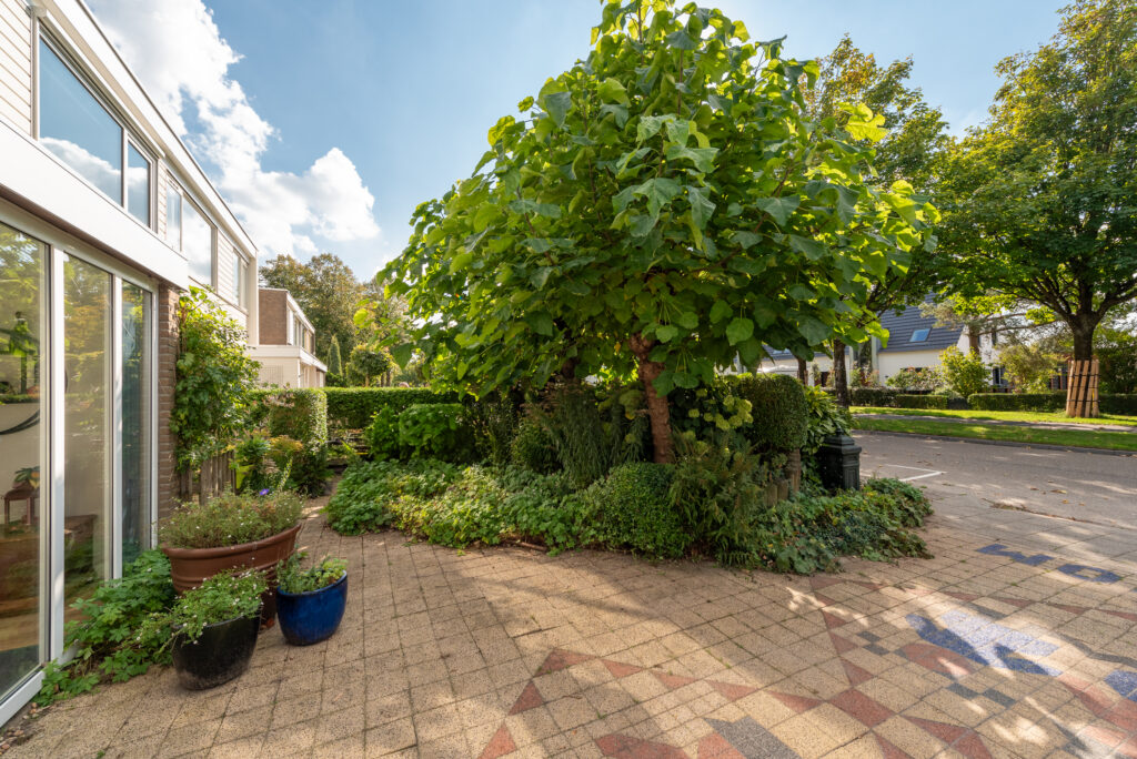 Singel 23 – Foto 51