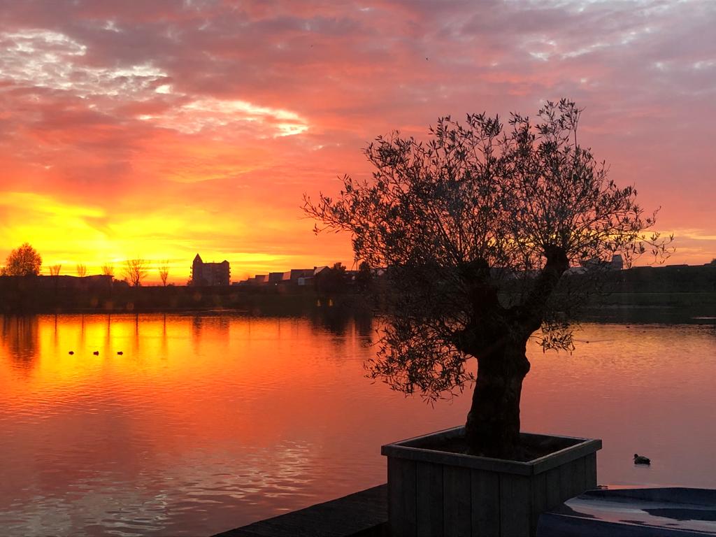 Rendiermos 6 – Foto 47