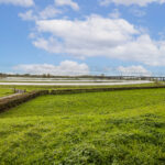 Benedenmonde 16 – Foto 39