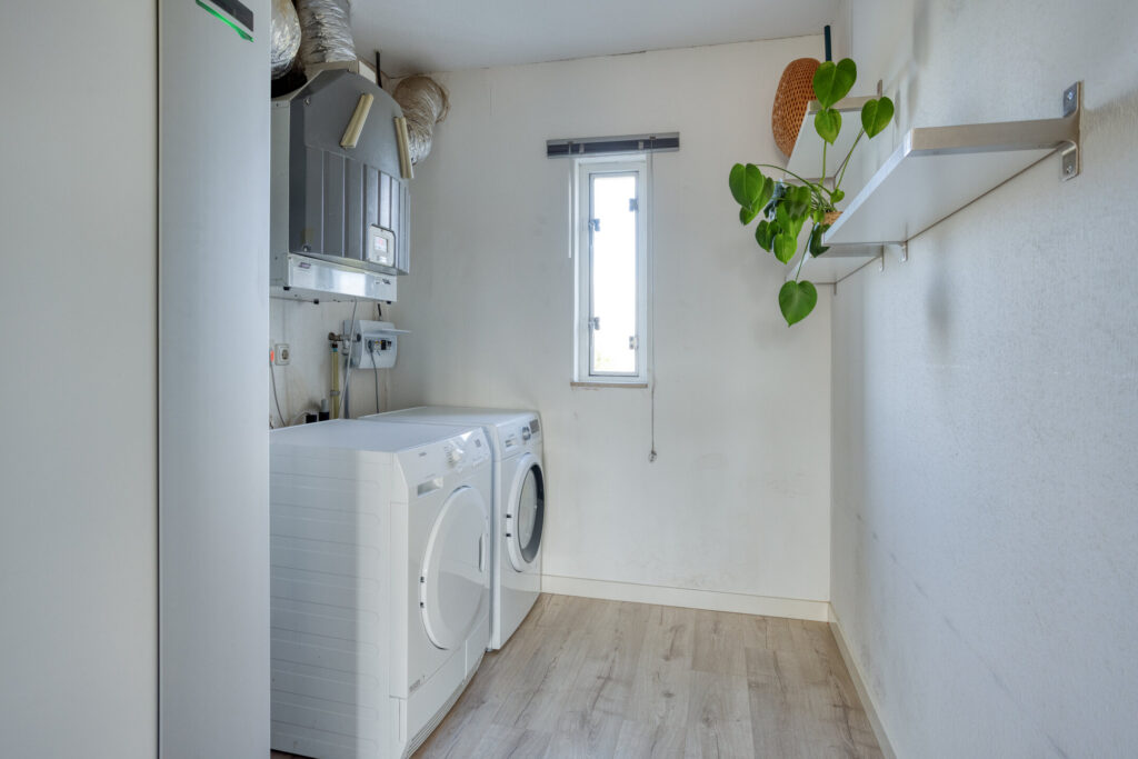 Zilvermos 30 – Foto 41