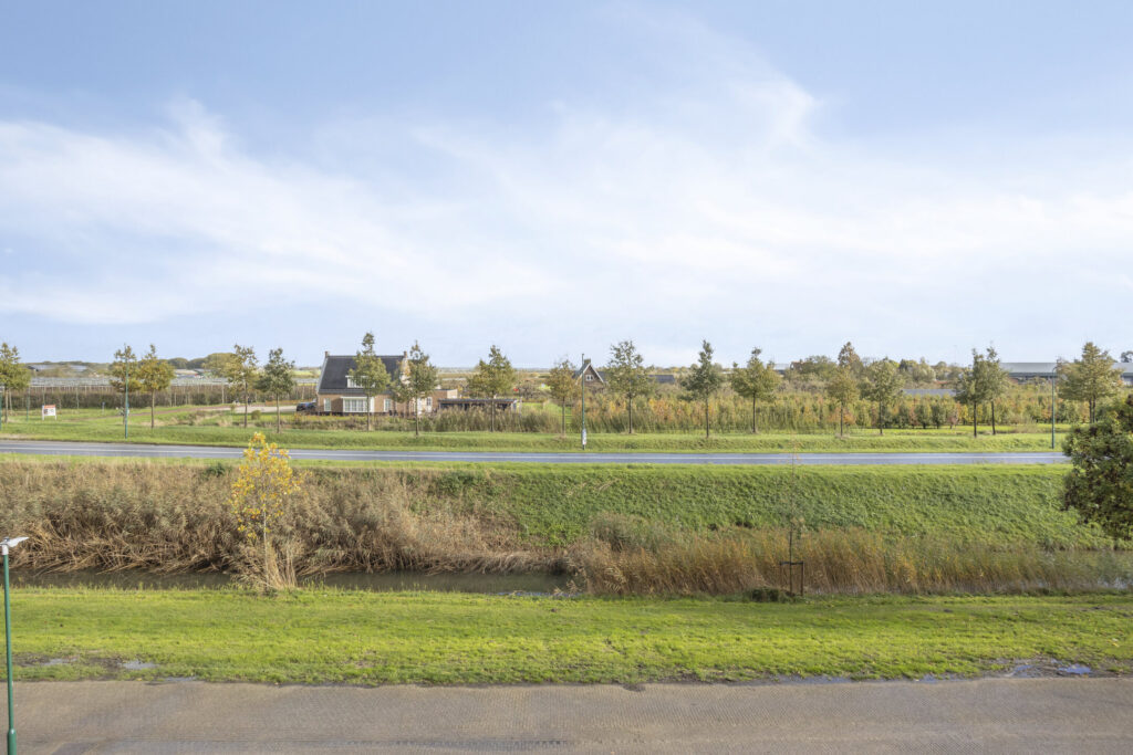 Zilvermos 30 – Foto 6