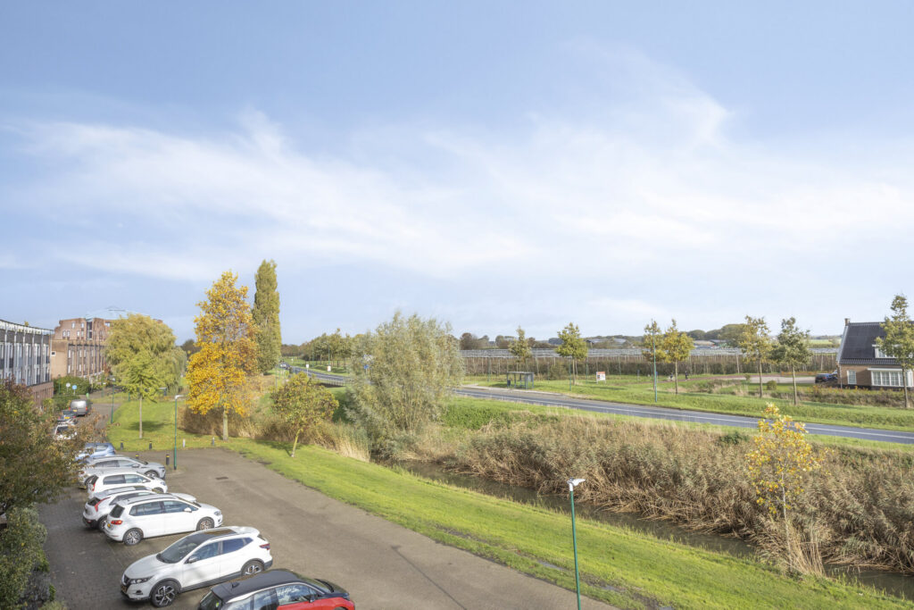 Zilvermos 30 – Foto