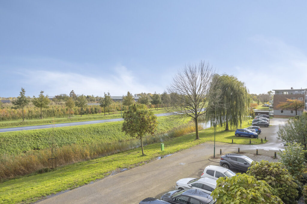 Zilvermos 30 – Foto 5