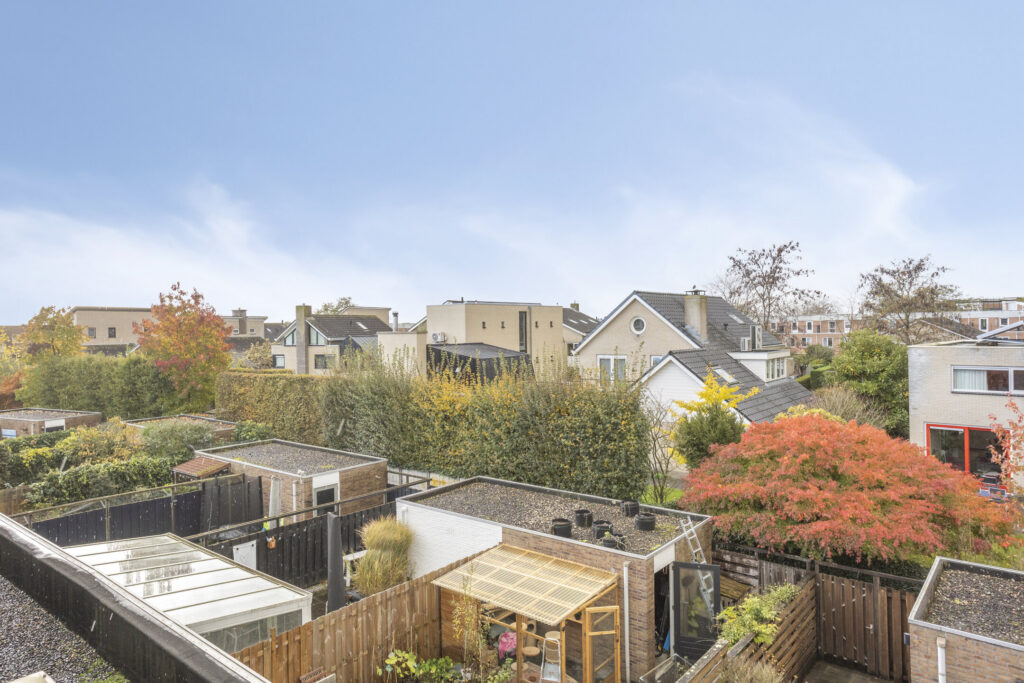 Zilvermos 30 – Foto 51