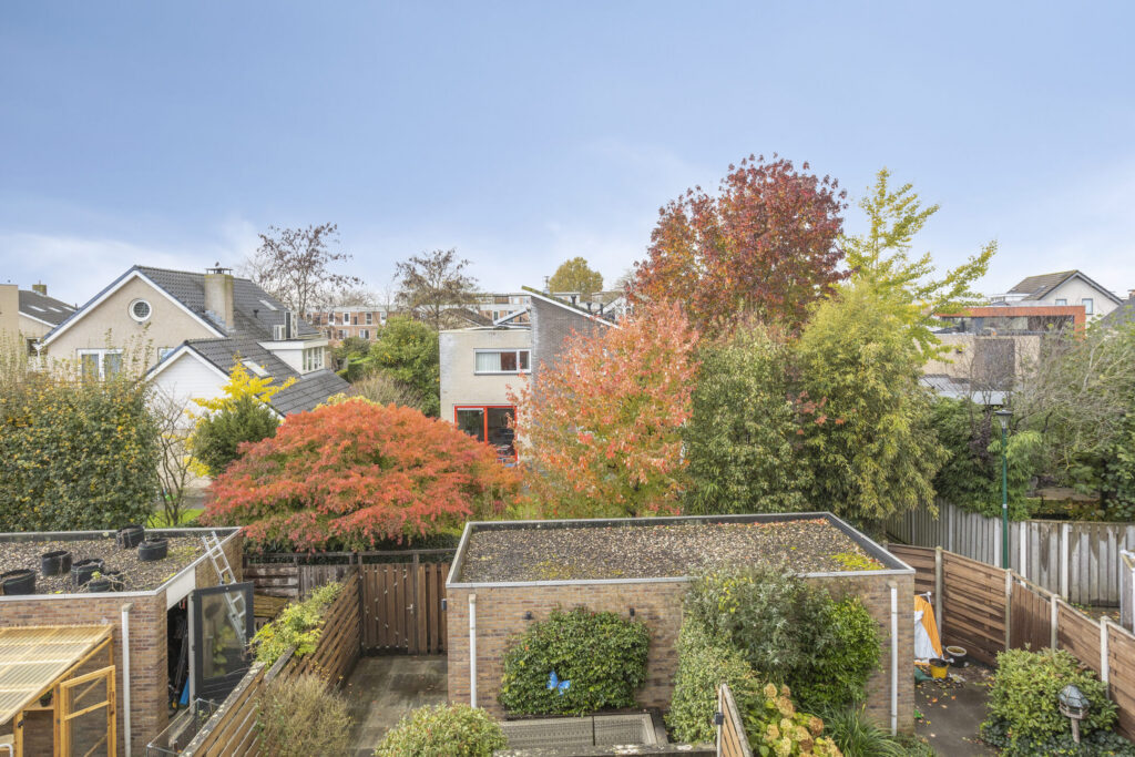 Zilvermos 30 – Foto 46