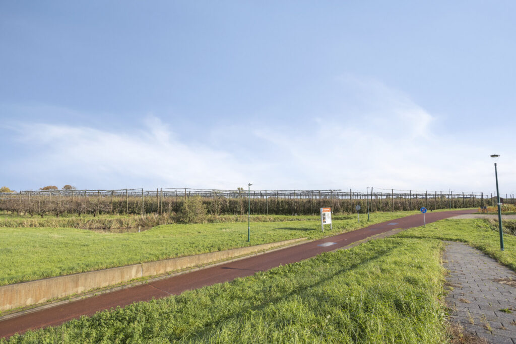 Zilvermos 30 – Foto 10