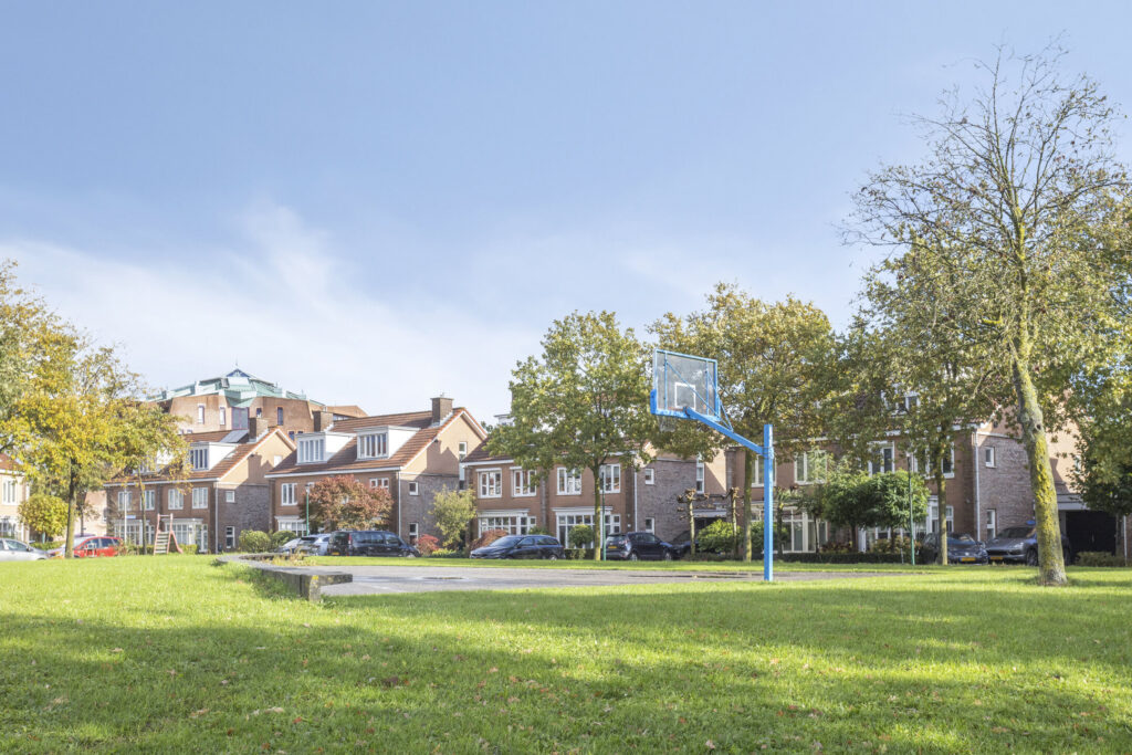 Zilvermos 30 – Foto 7