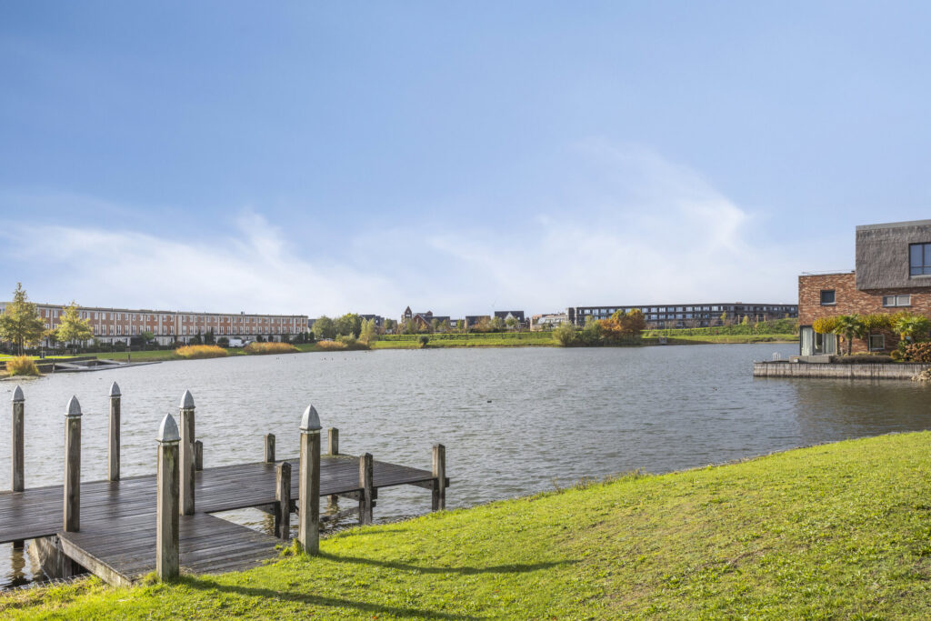 Zilvermos 30 – Foto 8