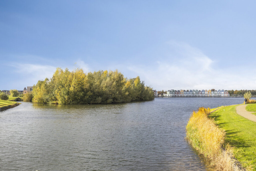 Zilvermos 30 – Foto 2