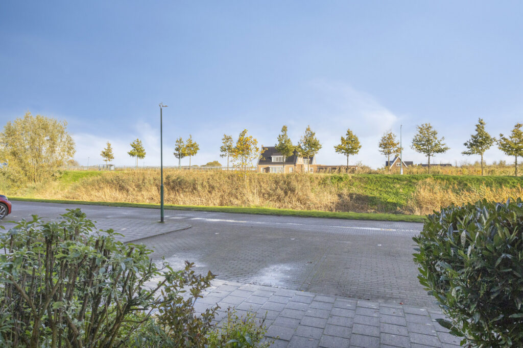 Zilvermos 30 – Foto 3