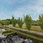 Bronmos 14 – Foto 37