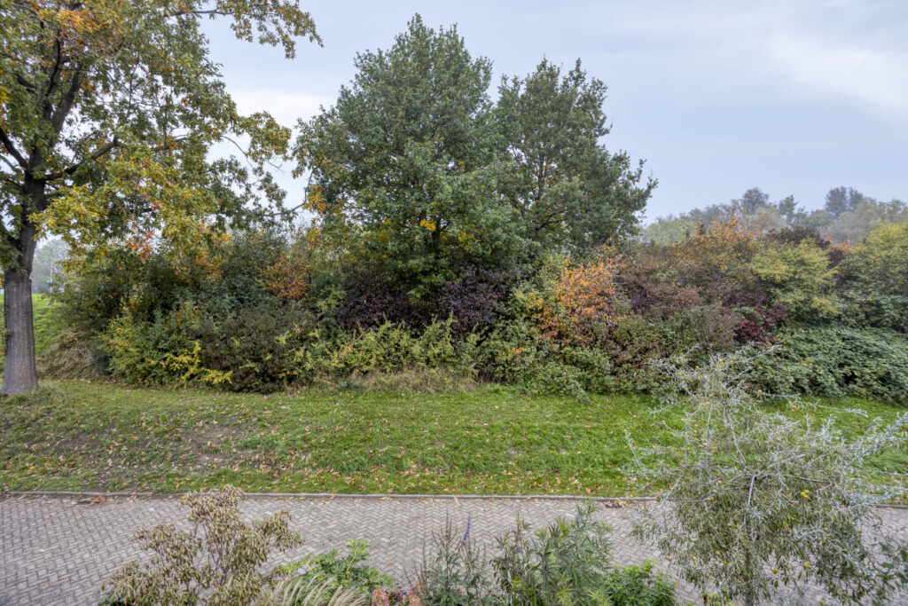 Druivengaarde 24 – Foto 29