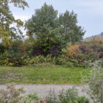 Druivengaarde 24 – Foto 29