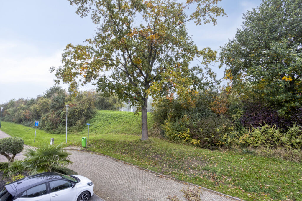 Druivengaarde 24 – Foto 31