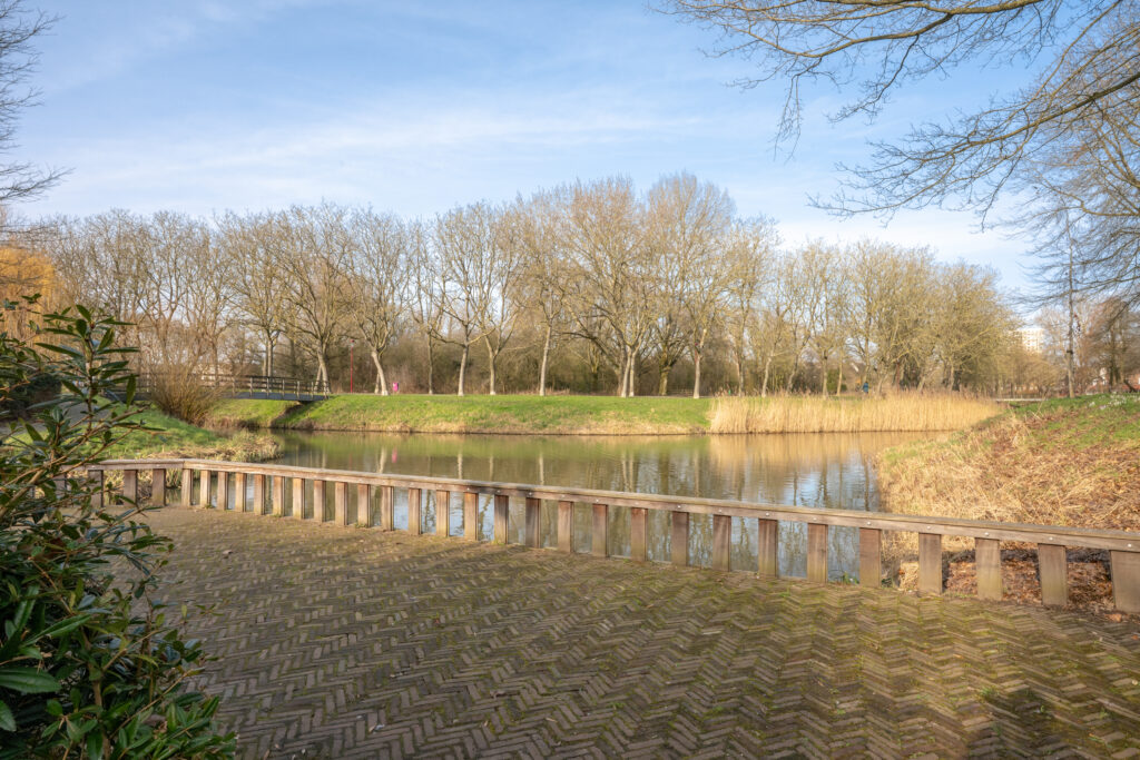 Albatros 12 – Foto 25