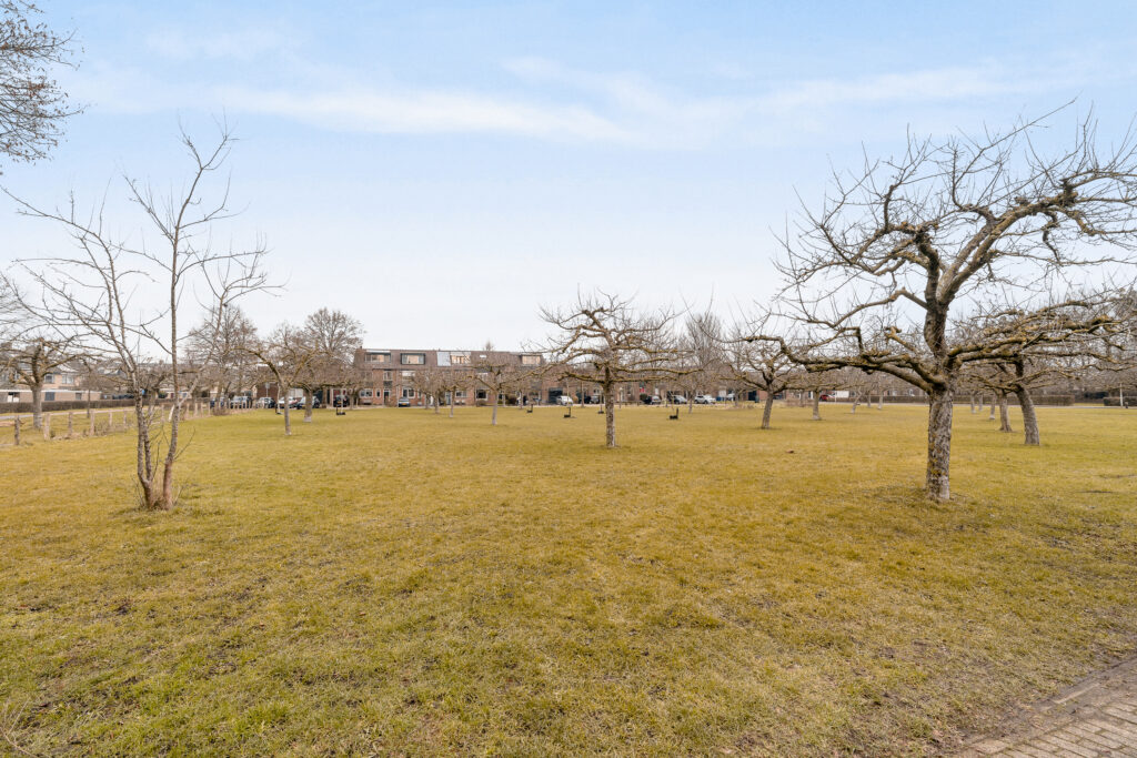 Dovenetelhof 1 – Foto 29