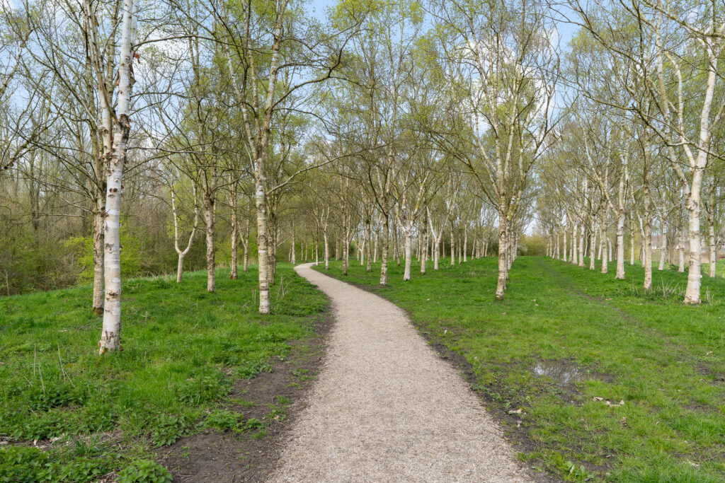 Lucas van Leydenhage 9 – Foto 32