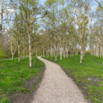 Lucas van Leydenhage 9 – Foto 32