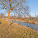 Willem Klooshove 11 – Foto 28