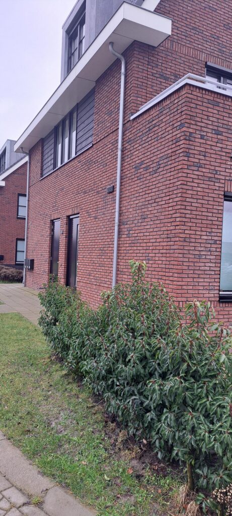 Valderik 10 – Foto