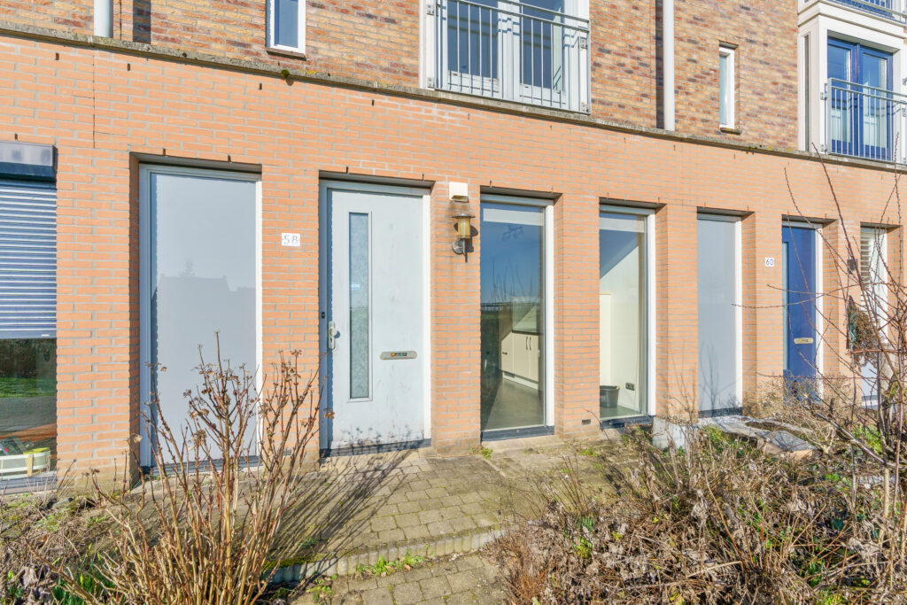 Zilvermos 58 – Foto