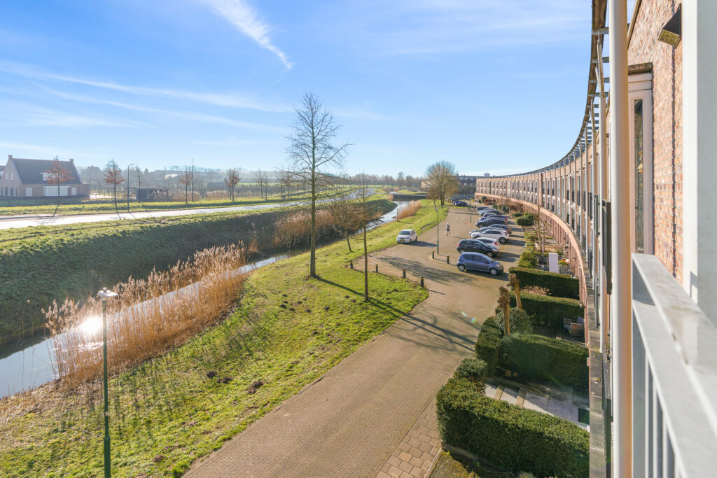 Zilvermos 58 – Foto 25