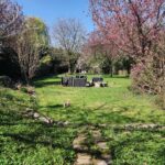 Utrechtsestraatweg 19A – Foto 44