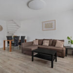 Zilverfazant 2 – Foto 10