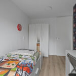 Zilverfazant 2 – Foto 19