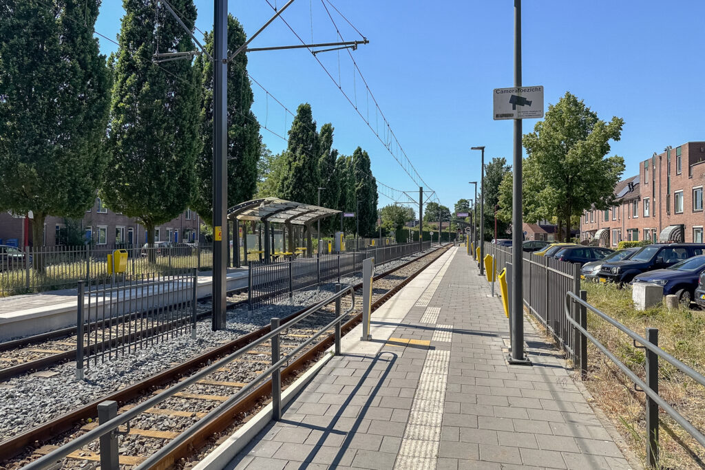 Zilverfazant 2 – Foto 34