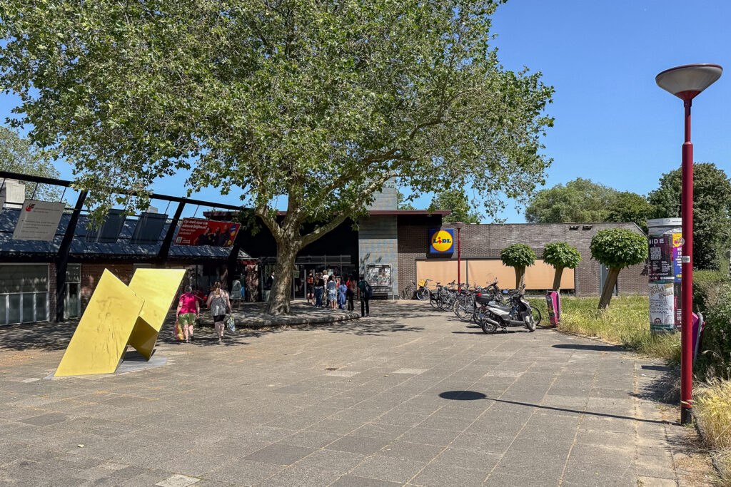 Zilverfazant 2 – Foto 35