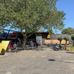 Zilverfazant 2 – Foto 35