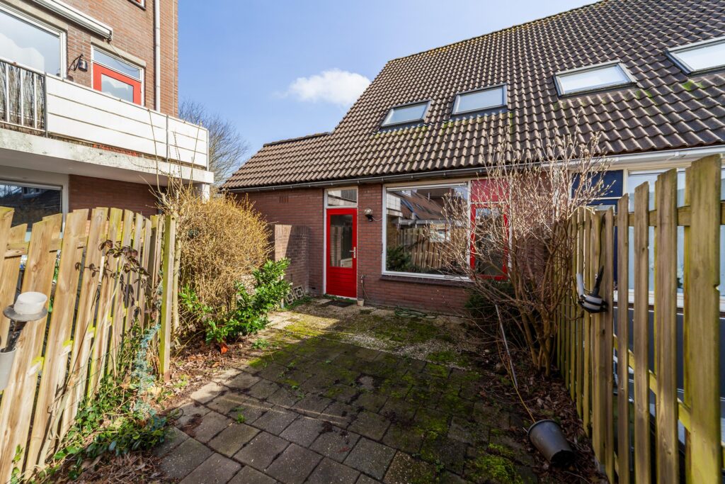 Ringfazant 21 – Foto 2