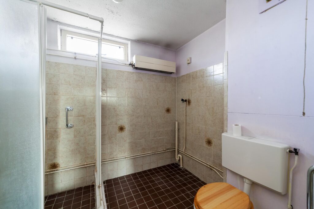 Ringfazant 21 – Foto 3