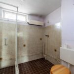 Ringfazant 21 – Foto 3