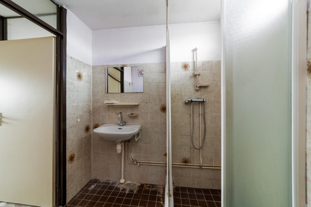 Ringfazant 21 – Foto 4