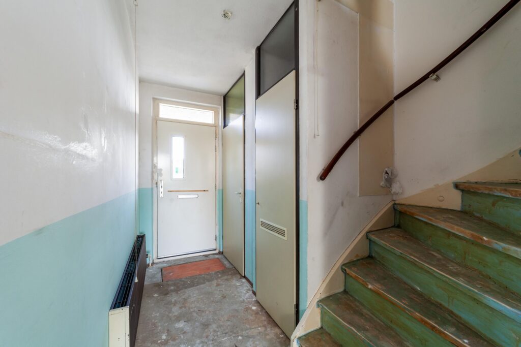 Ringfazant 21 – Foto 5