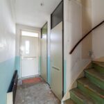 Ringfazant 21 – Foto 5