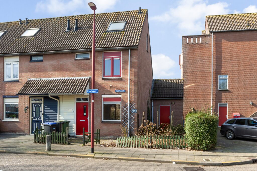 Ringfazant 21 – Foto 6