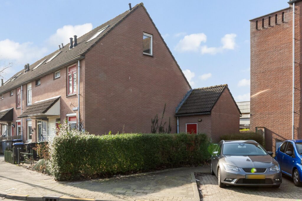 Ringfazant 21 – Foto 7