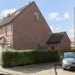 Ringfazant 21 – Foto 7