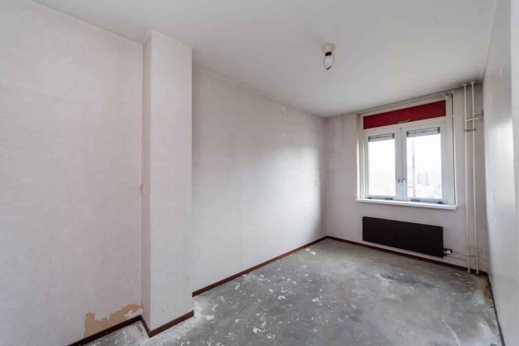 Ringfazant 21 – Foto 8